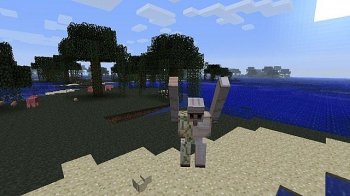 Hardcore Iron Golems 1.3